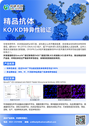 精品抗體（KO/KD特異性驗(yàn)證）