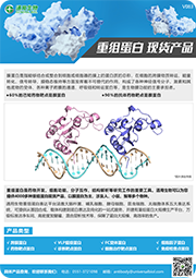 重組蛋白現(xiàn)貨產(chǎn)品